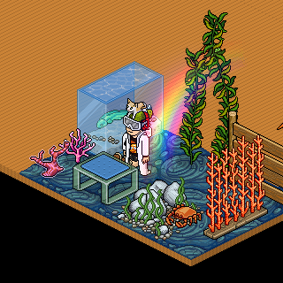 Habbo_2018-07-26_00-13-19.png
