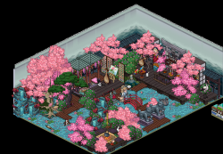 一个漂亮的樱花小院