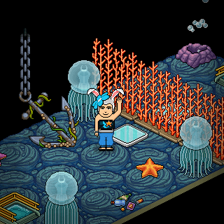 Habbo_2018-07-06_19-09-29.png
