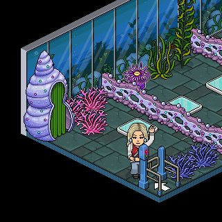 Habbo_2018-07-29_17-02-57.png