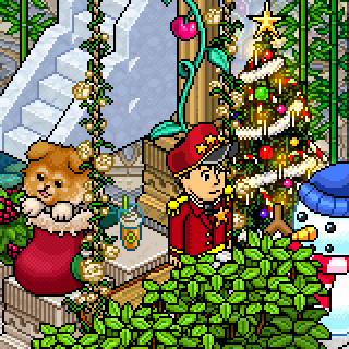 Habbo_2018-12-16_14-22-50.png