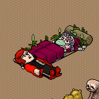 Habbo_2022-11-10_20-35-29.png
