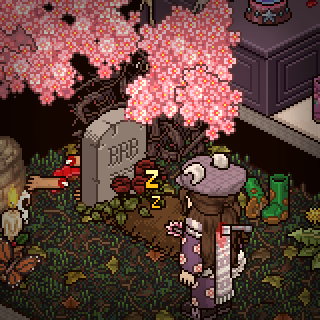Habbo_2023-01-08_17-55-52.png