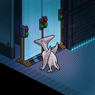 Habbo_2023-02-10_17-29-32.png